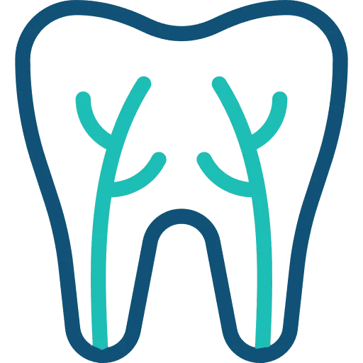 Root Canal icon